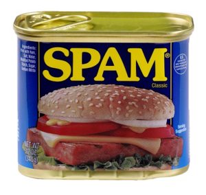 Figure 1: The Edible Spam