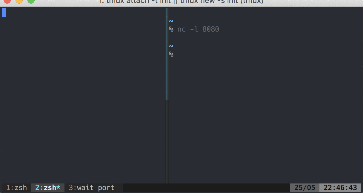 A utility to help you wait for ports to open