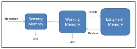 Information Processing