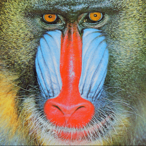 mandrill 24 bit