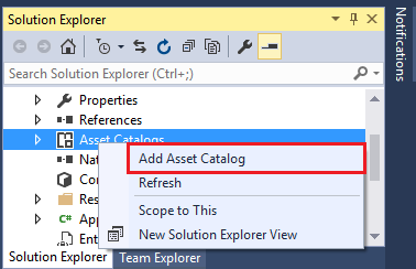 Add Asset Catalog