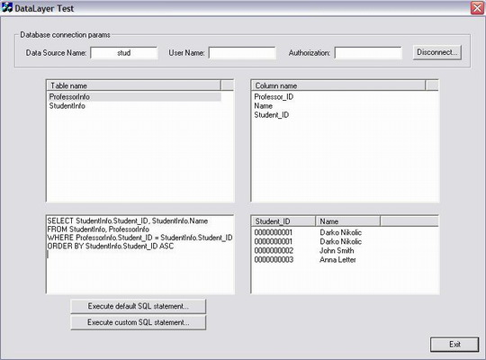 DataLayer Test