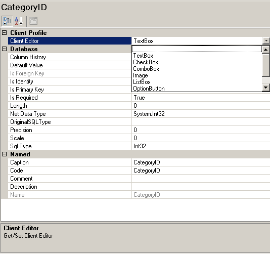 SmartCode Property Pane