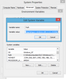 system variables