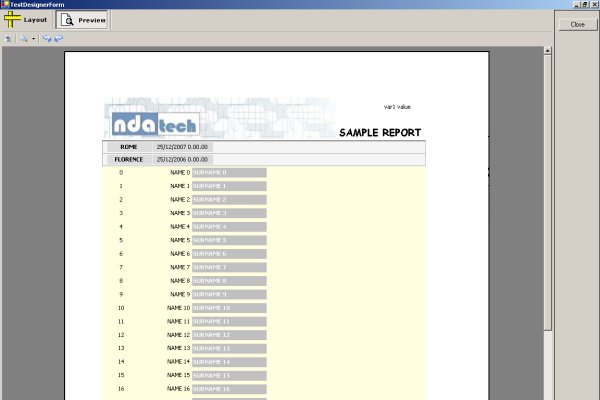 ReportPrintingFramework designer's preview sample