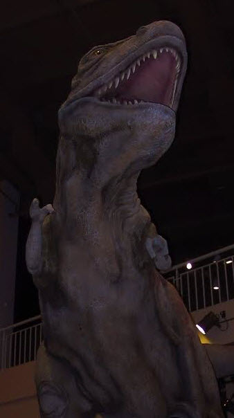 Dinosaur model